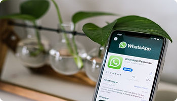 AI Solutions & Intelligent Assistants